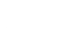 NEW SAÚDE LEADER (1)